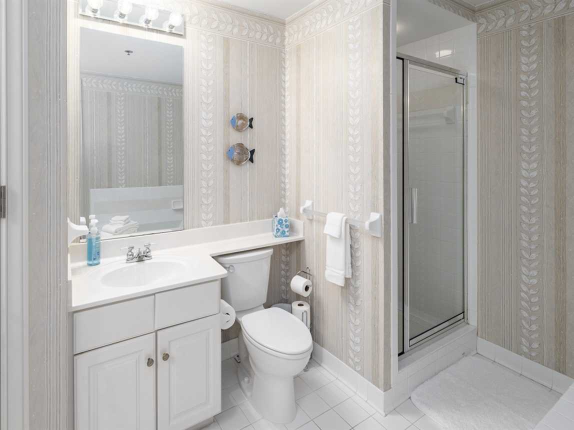 Master Bathroom Shower