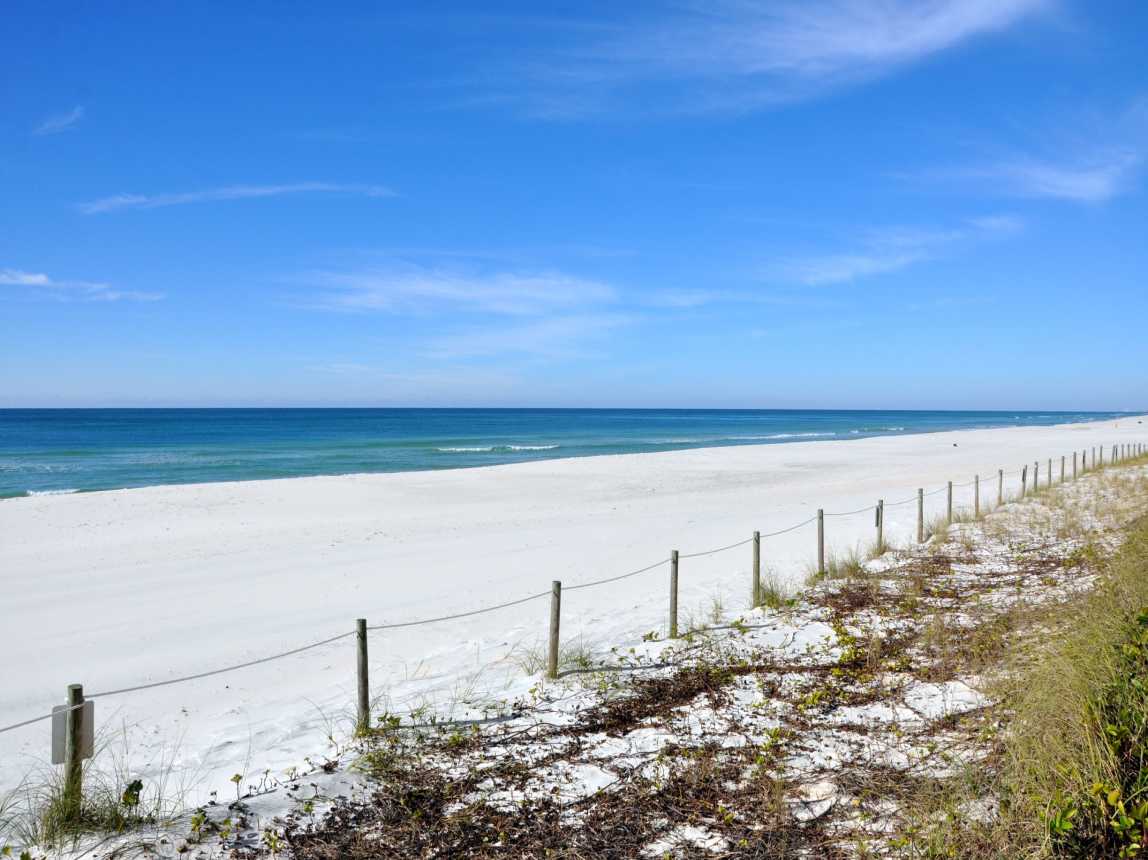 This is just one reason why we call it the Emerald Coast.