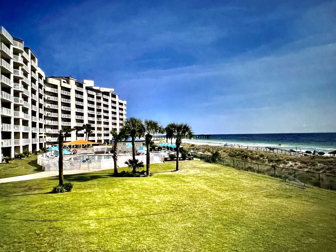 Deer come from the park to enjoy Moonspinner's grassy area - Bring your camera!