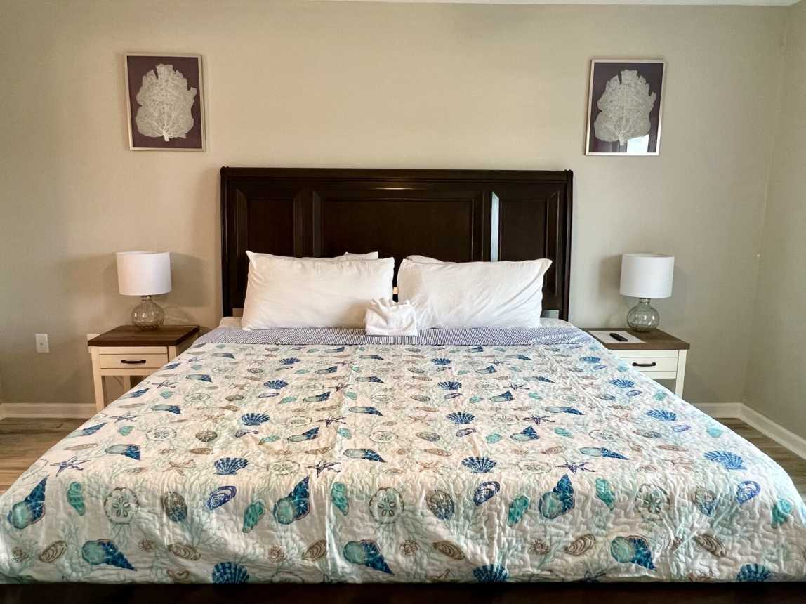 Bayou 565 - Panhandle Paradise_22