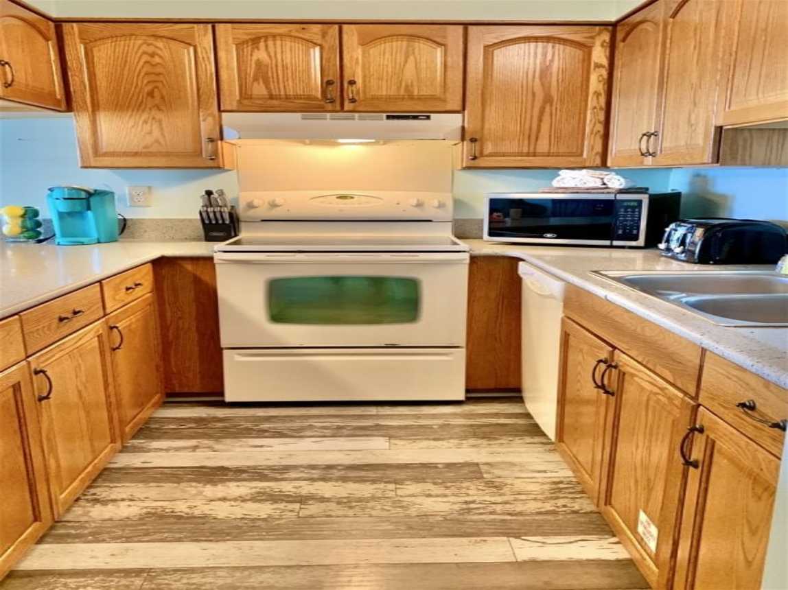 Island Echos 4P - Reef Intermission_18