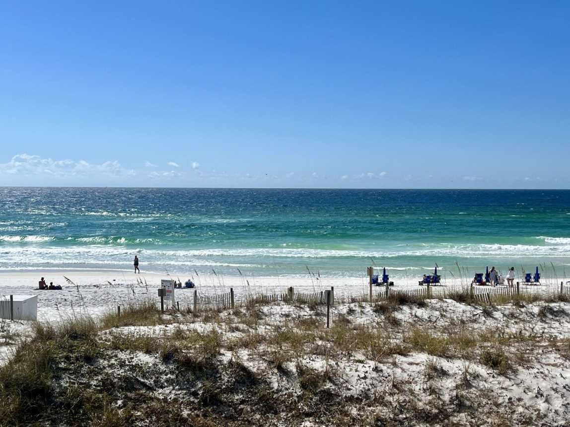 Palms 205 - Paradise Palms_16