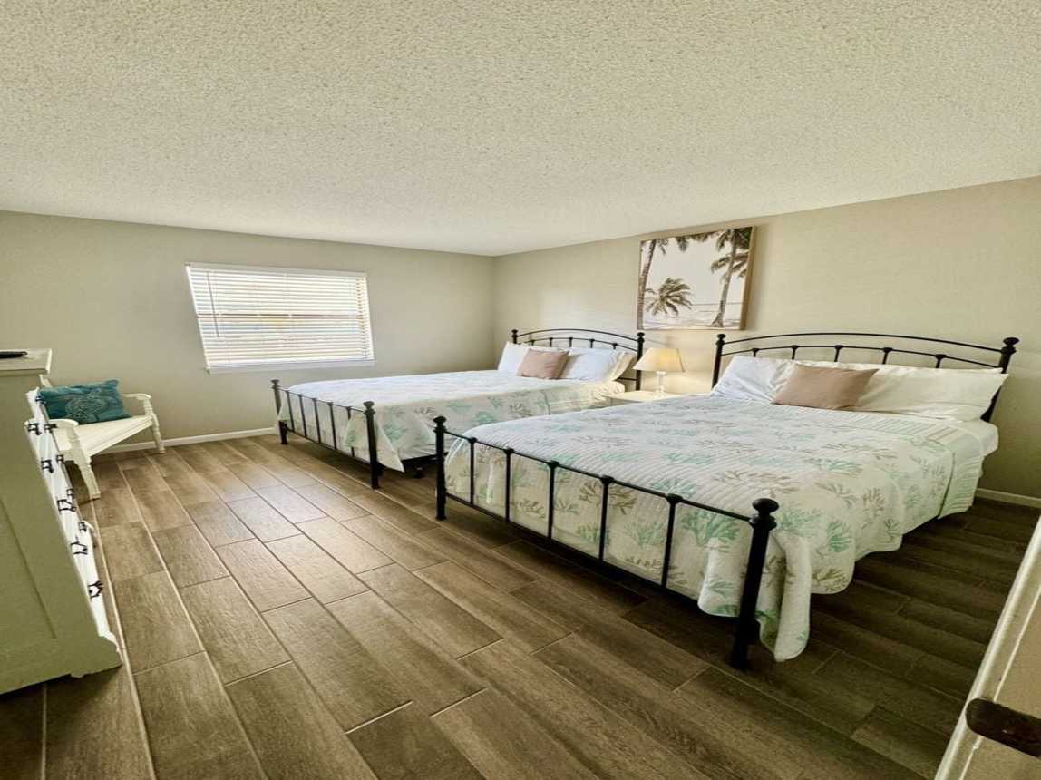 Venus 216 - Starfish Cove_4