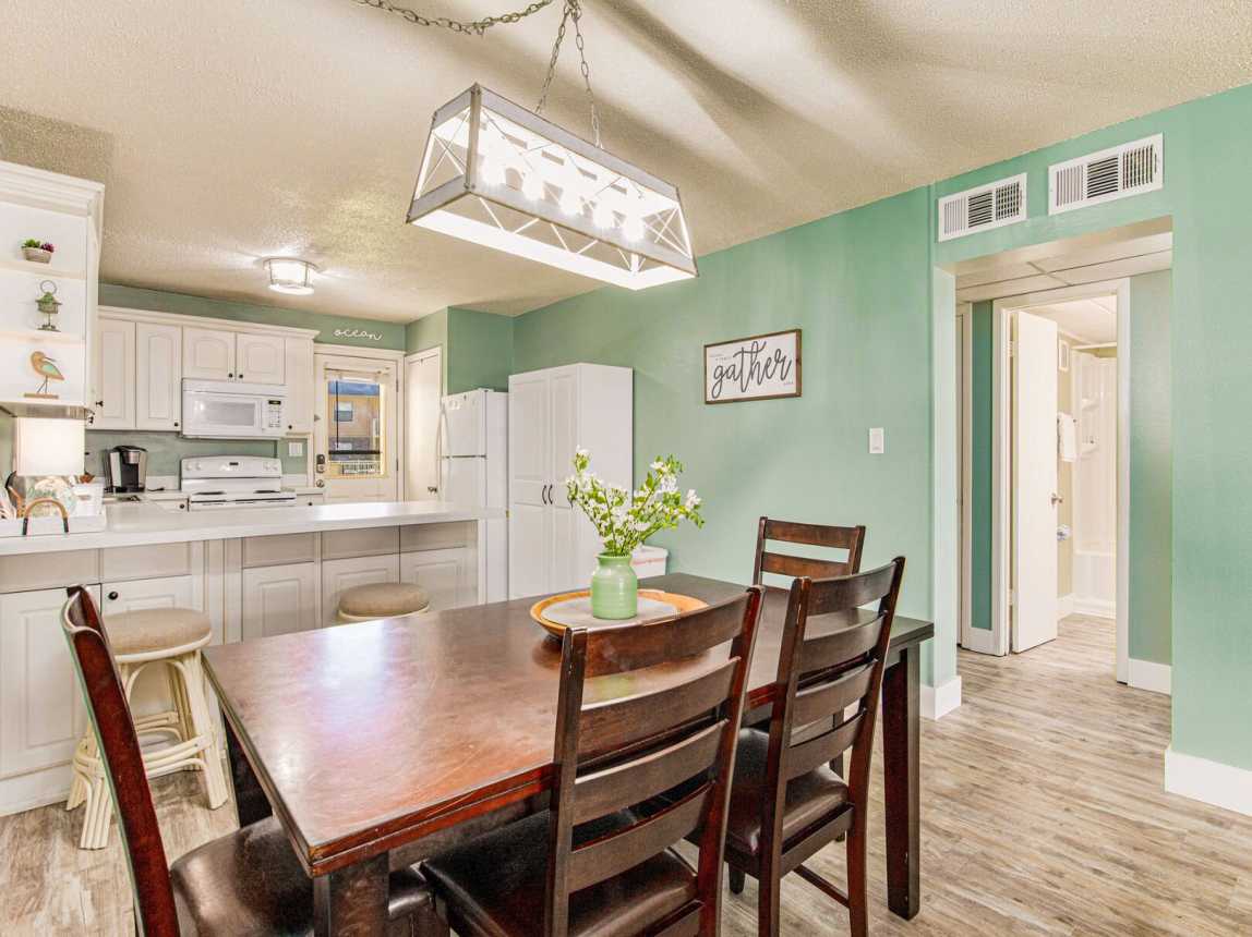 Venus 115 - Turtles Nest_12