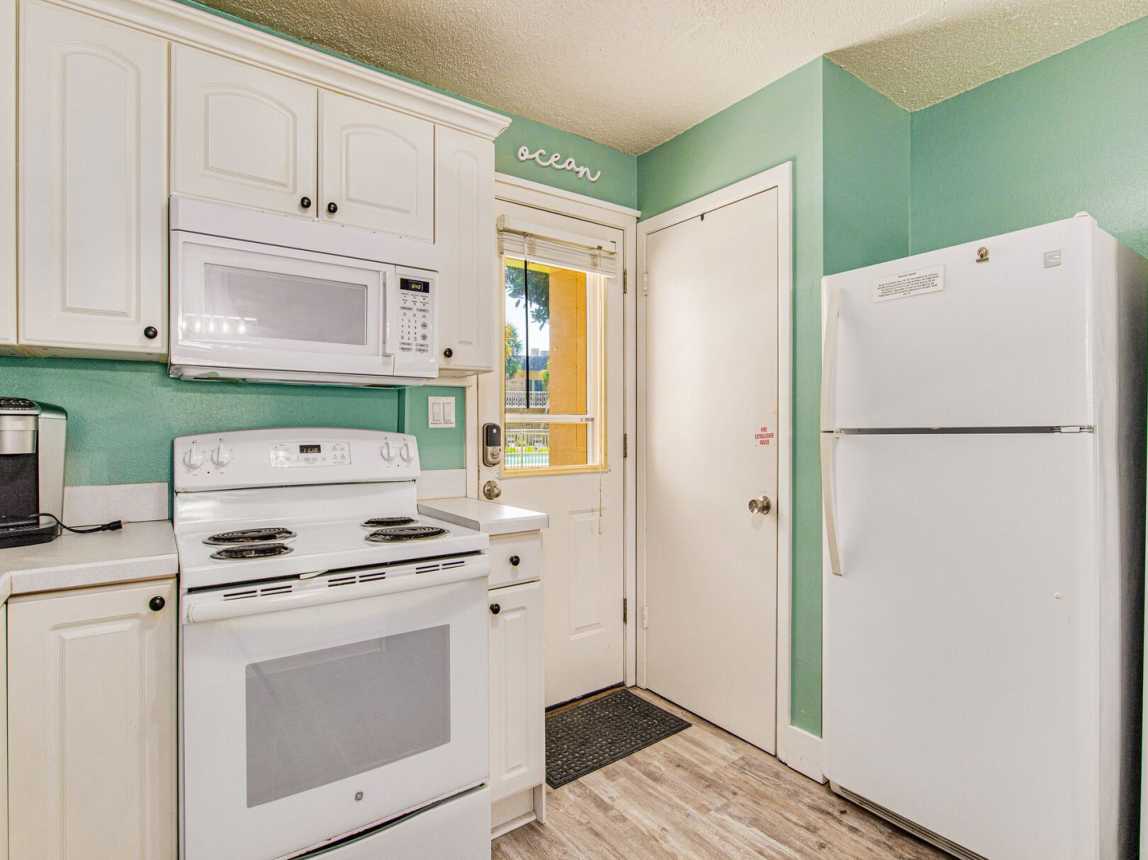 Venus 115 - Turtles Nest_14