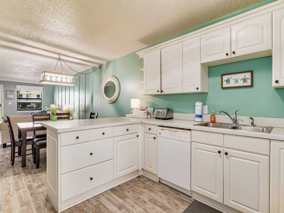 Venus 115 - Turtles Nest_15