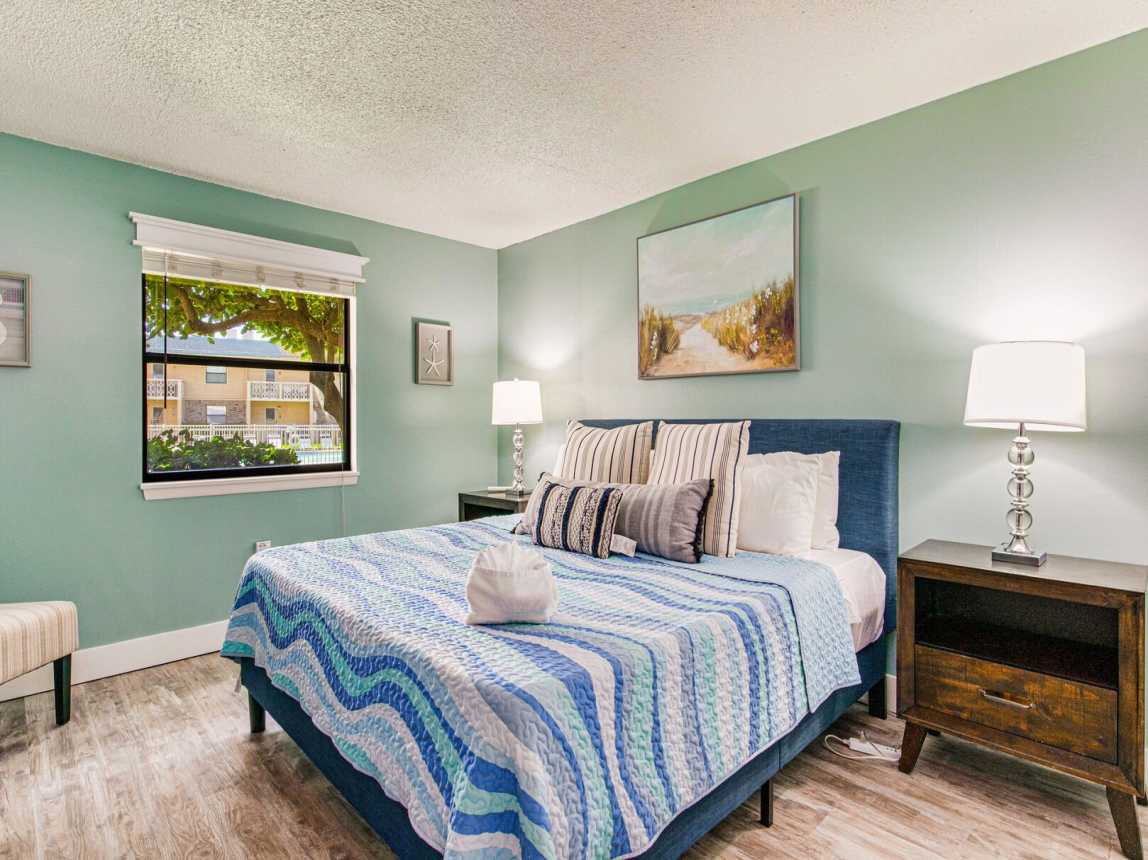 Venus 115 - Turtles Nest_4