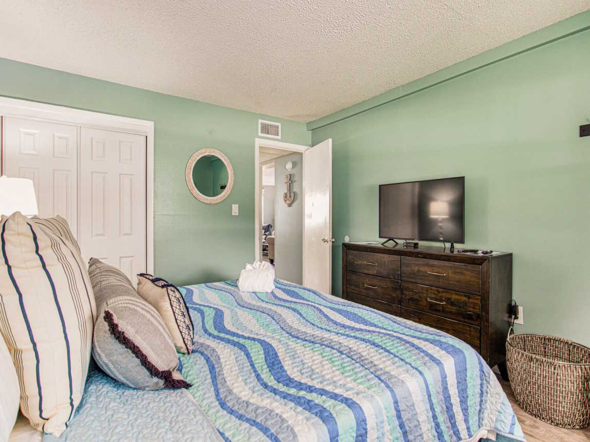 Venus 115 - Turtles Nest_19