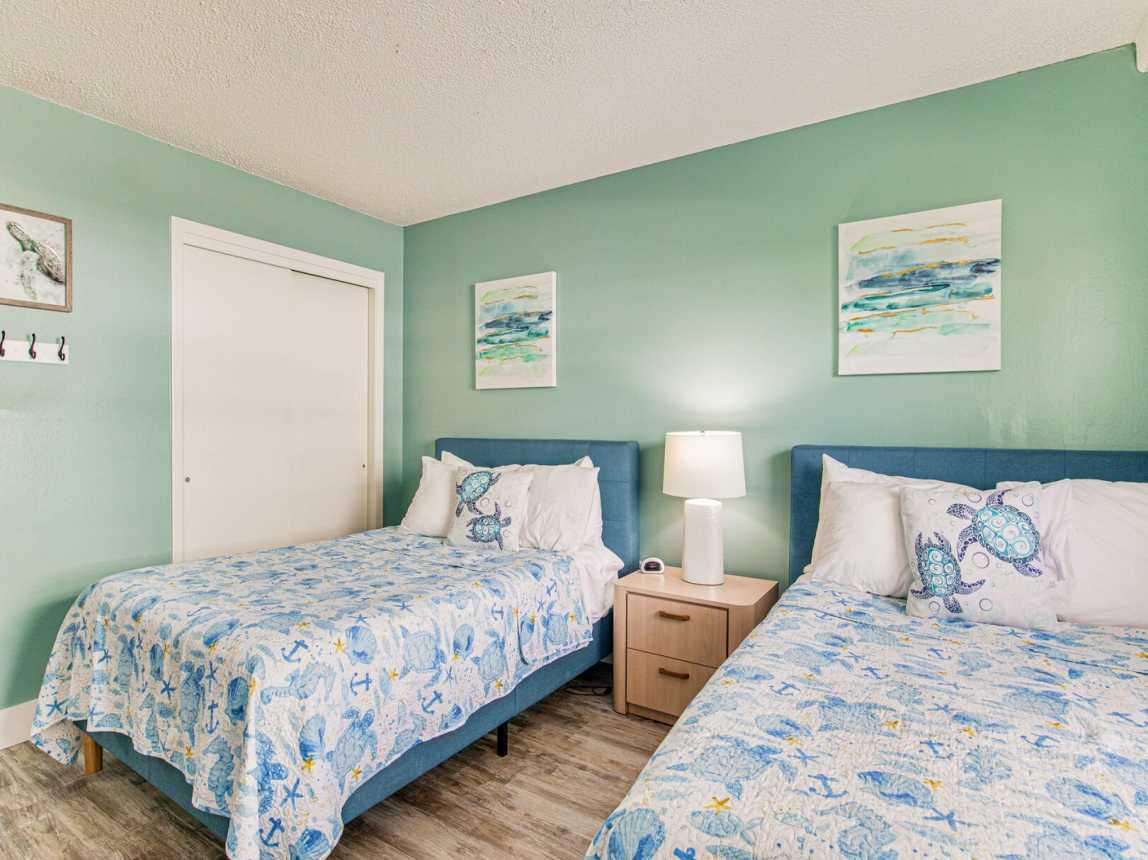 Venus 115 - Turtles Nest_21