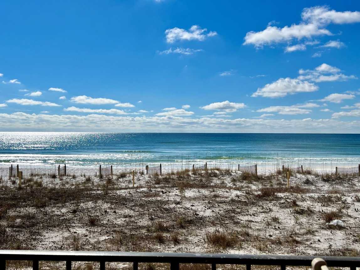 Surf Dweller 210 - Surf Buggy_7