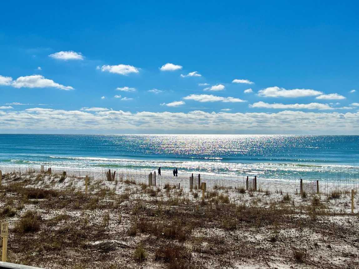 Surf Dweller 210 - Surf Buggy_13