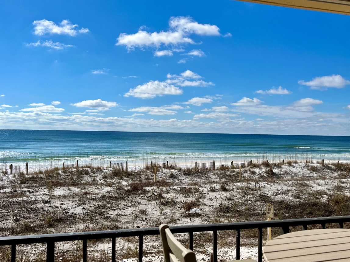 Surf Dweller 210 - Surf Buggy_0