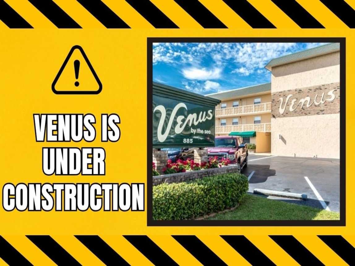 Venus 115 - Turtles Nest_17