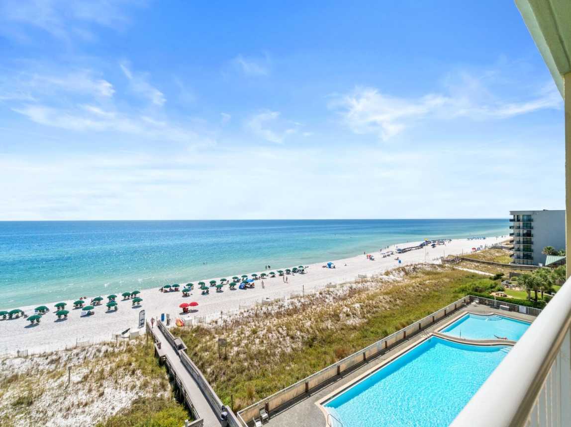 Waters Edge 616 - Dolphin Delight_7