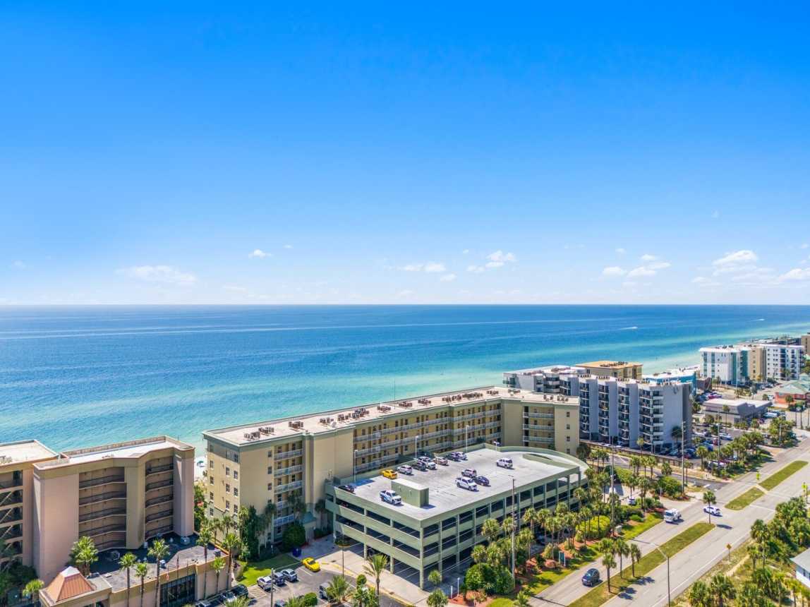 Waters Edge 616 - Dolphin Delight_1