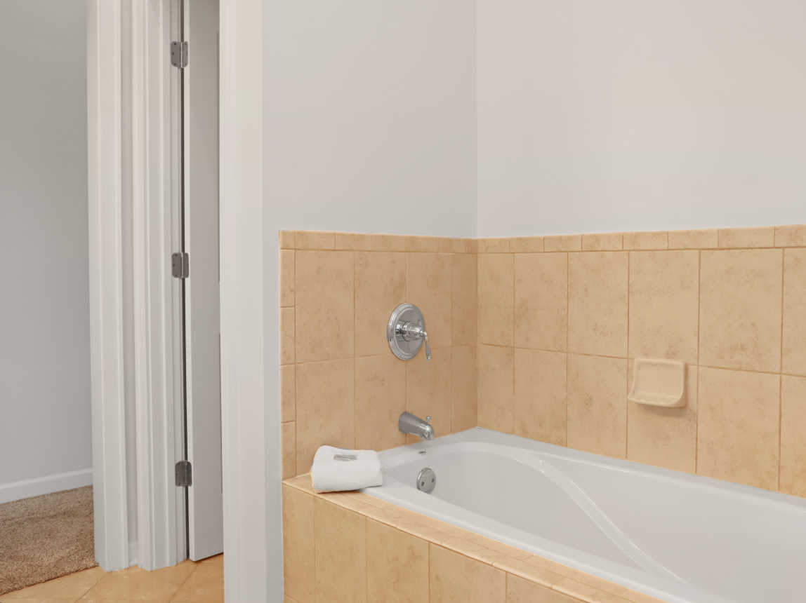 Bedroom 1 - Master Bath Tub