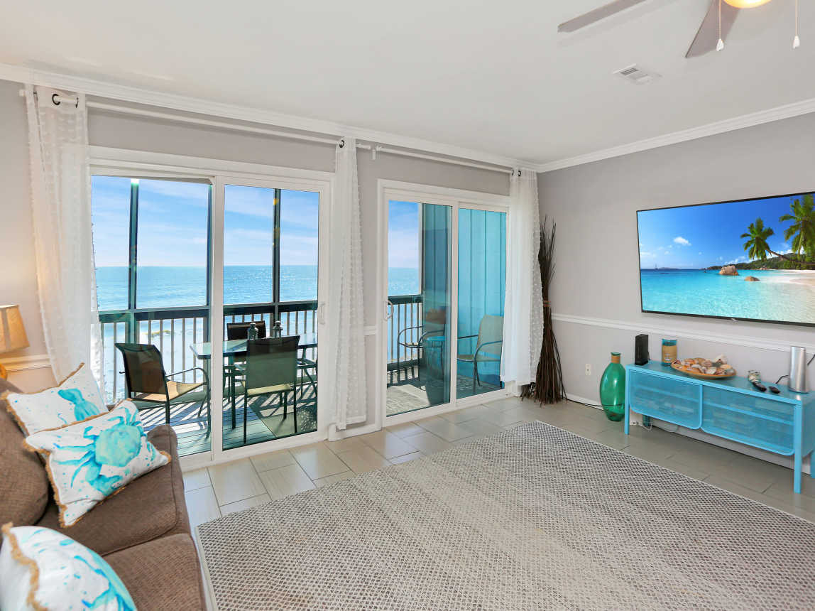 Living Room View & TV