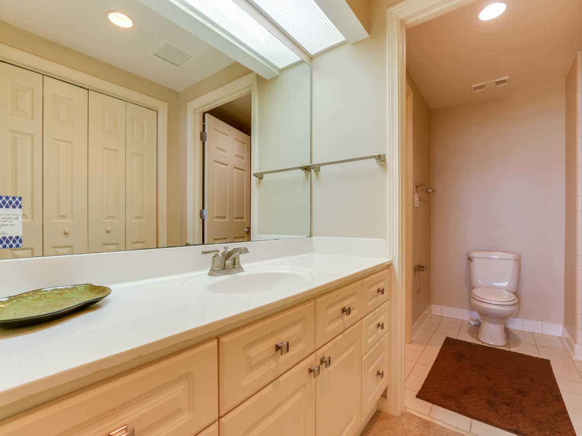 Guest bath vanity, toilet area.