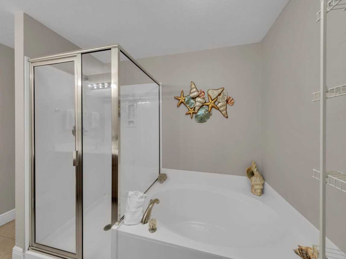 Master Bathroom 1 Part 2