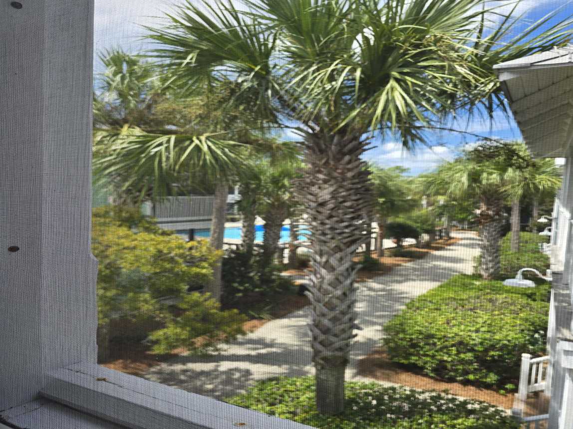 View of Pool From Top Deck