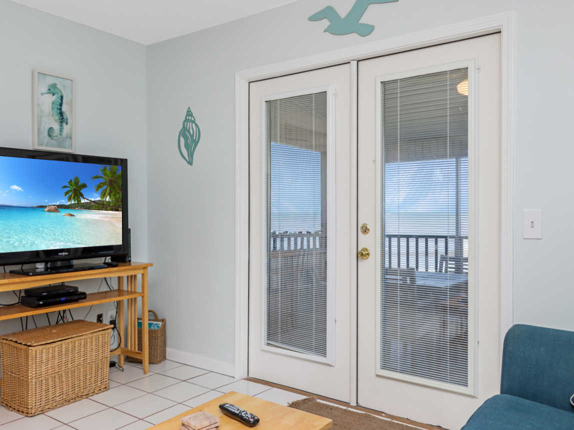 Living Room View and TV