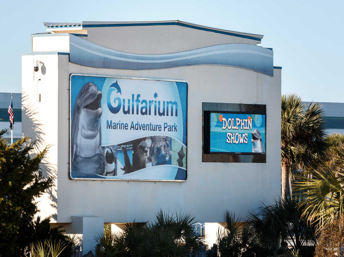 Gulfarium Marine Adventure Park