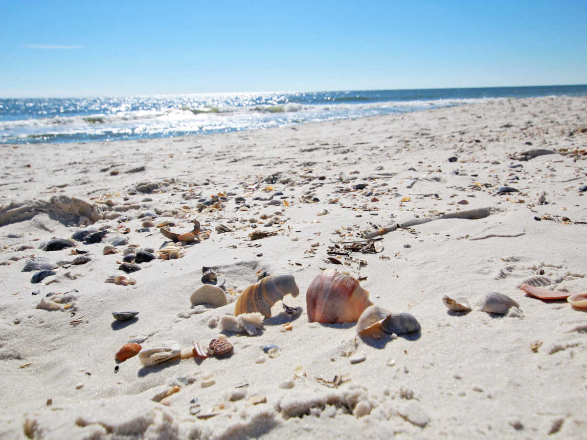 2 - Beach Access (3)