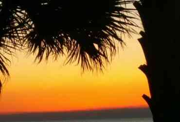 Shores of Panama #226