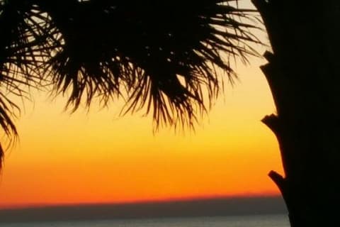 Shores of Panama #226