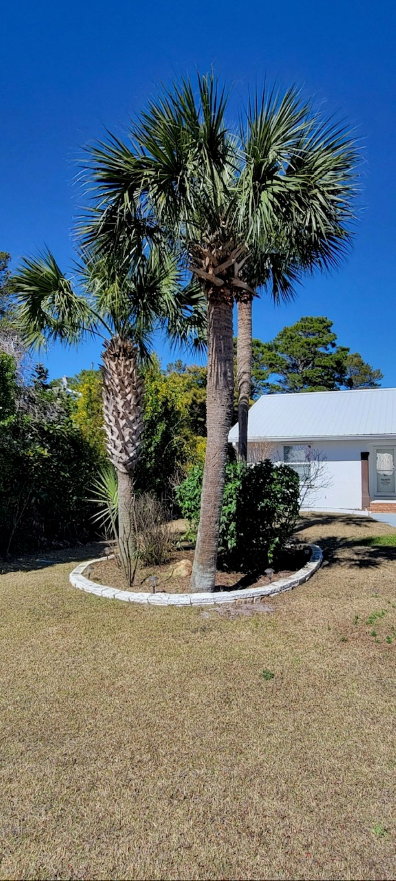 Beautiful Landscaping