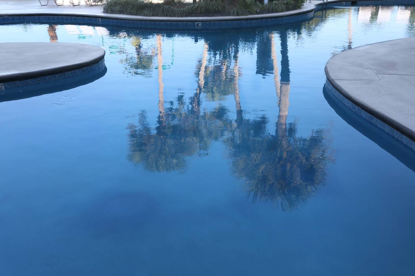 Relax under the palm trees, poolside.