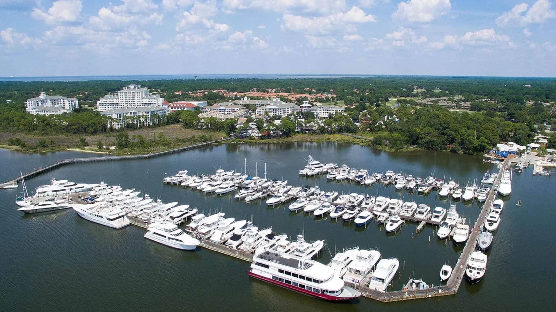 Aerial view of the location