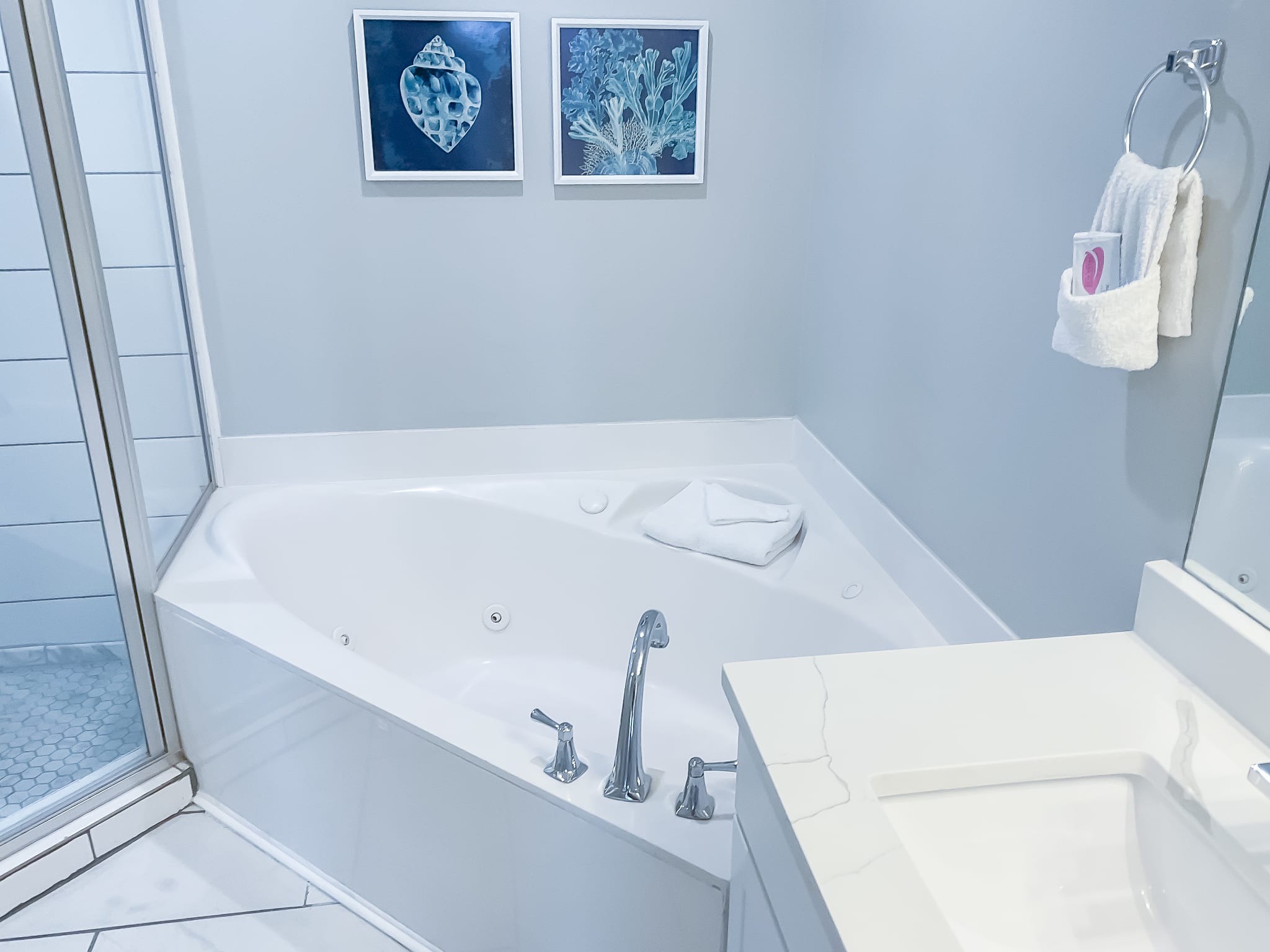 Master Bathtub with jets