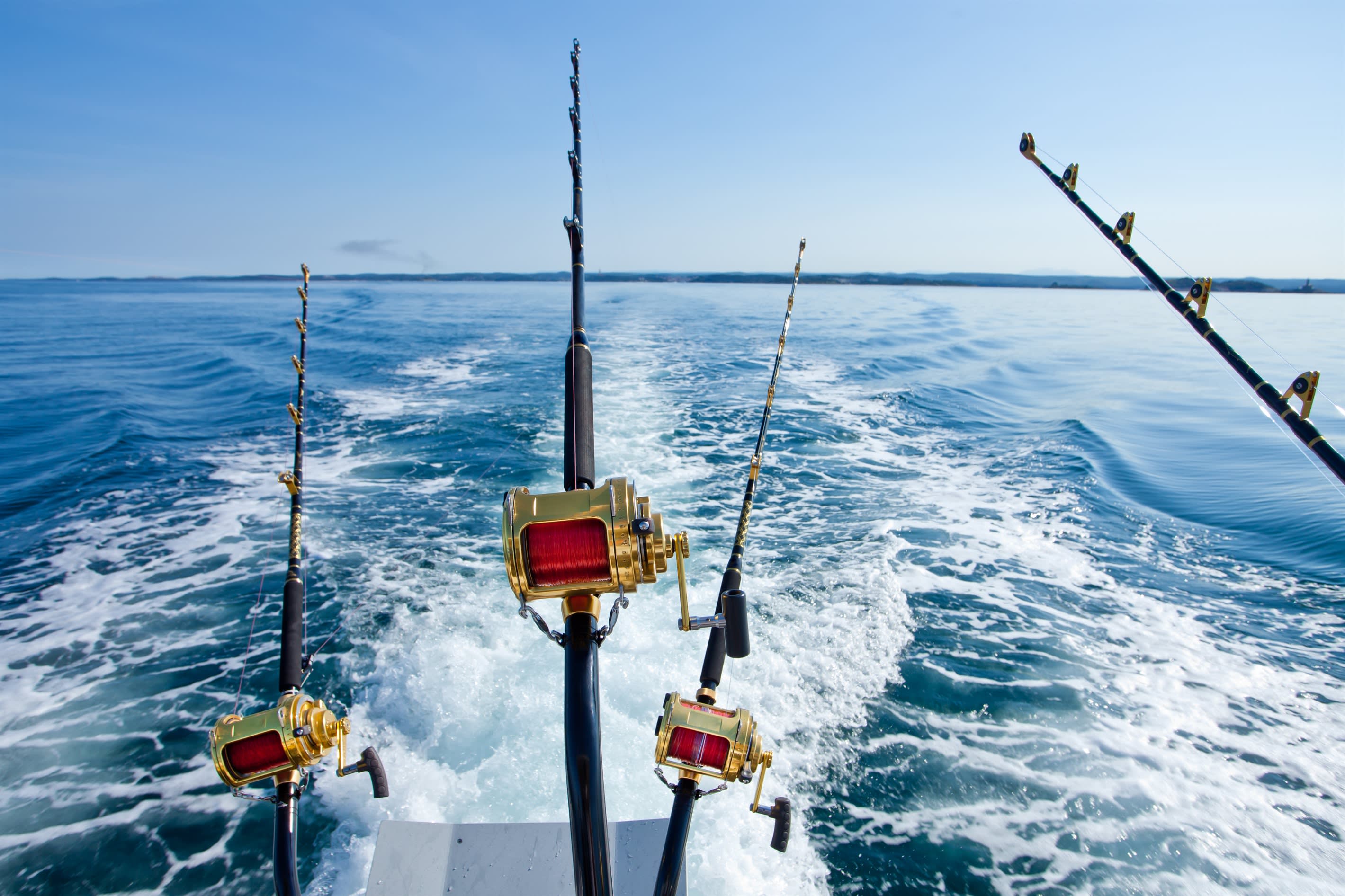 Book a deep sea fishing trip through Trip Shock ...ask us how!