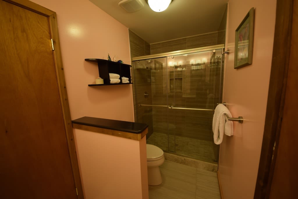 Newly renovated bathroom with walk in shower (Mast