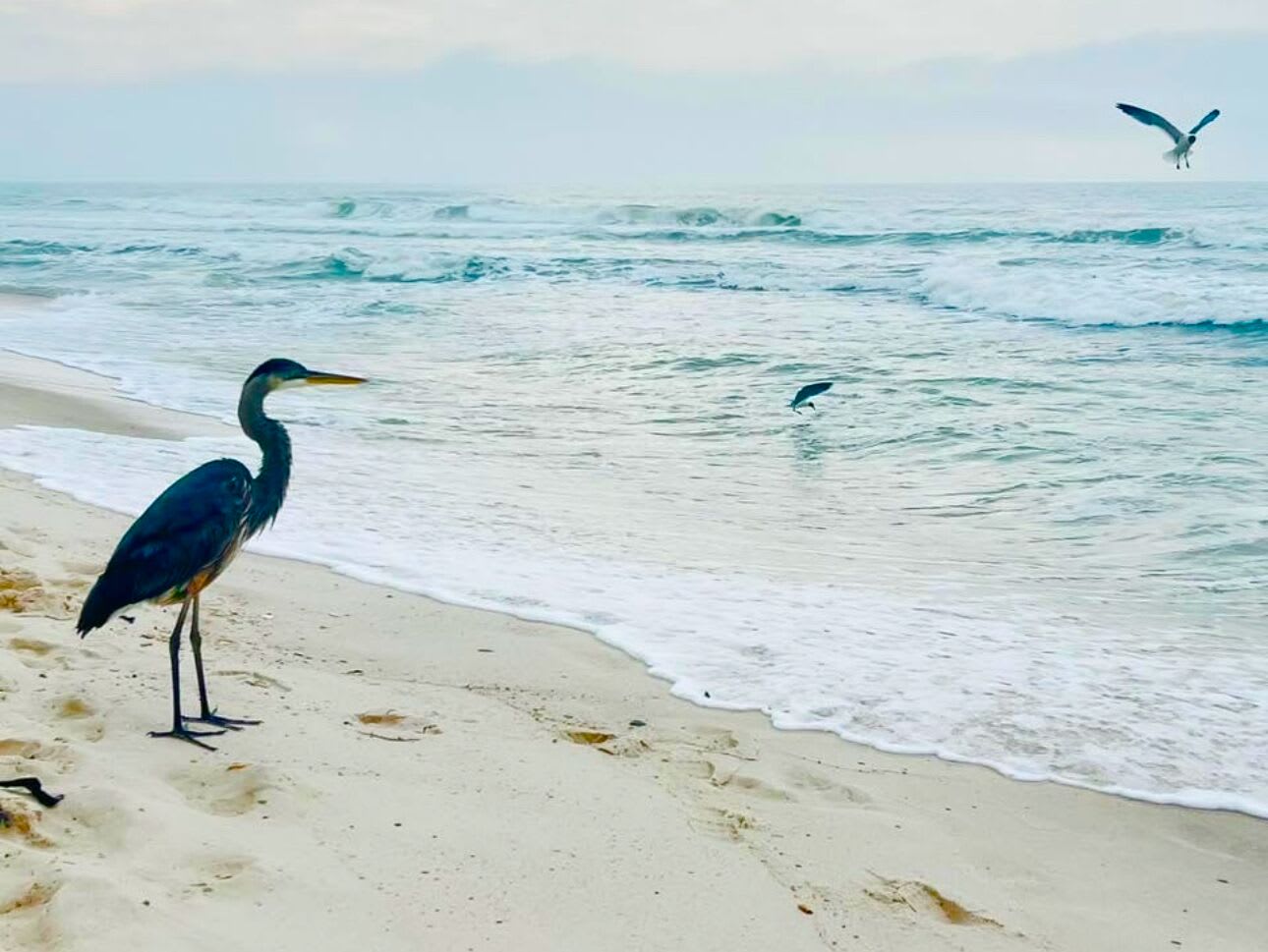 Relax and enjoy nature