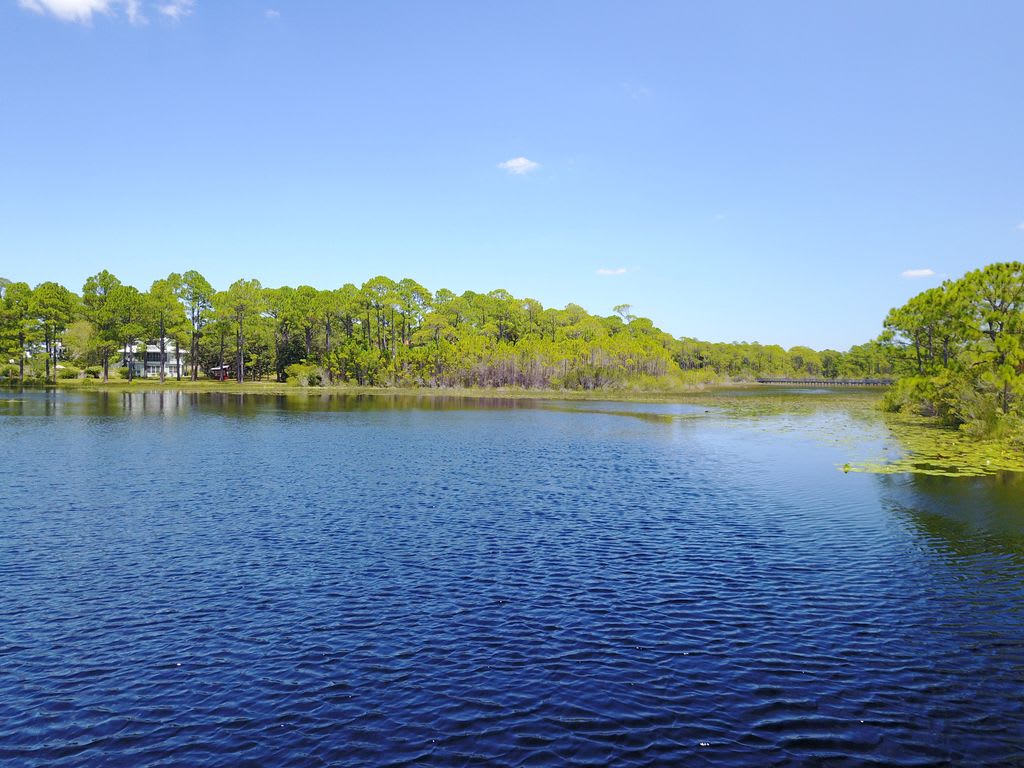 Lake located directly behind house. Great for fishing! New private dock in backyard!