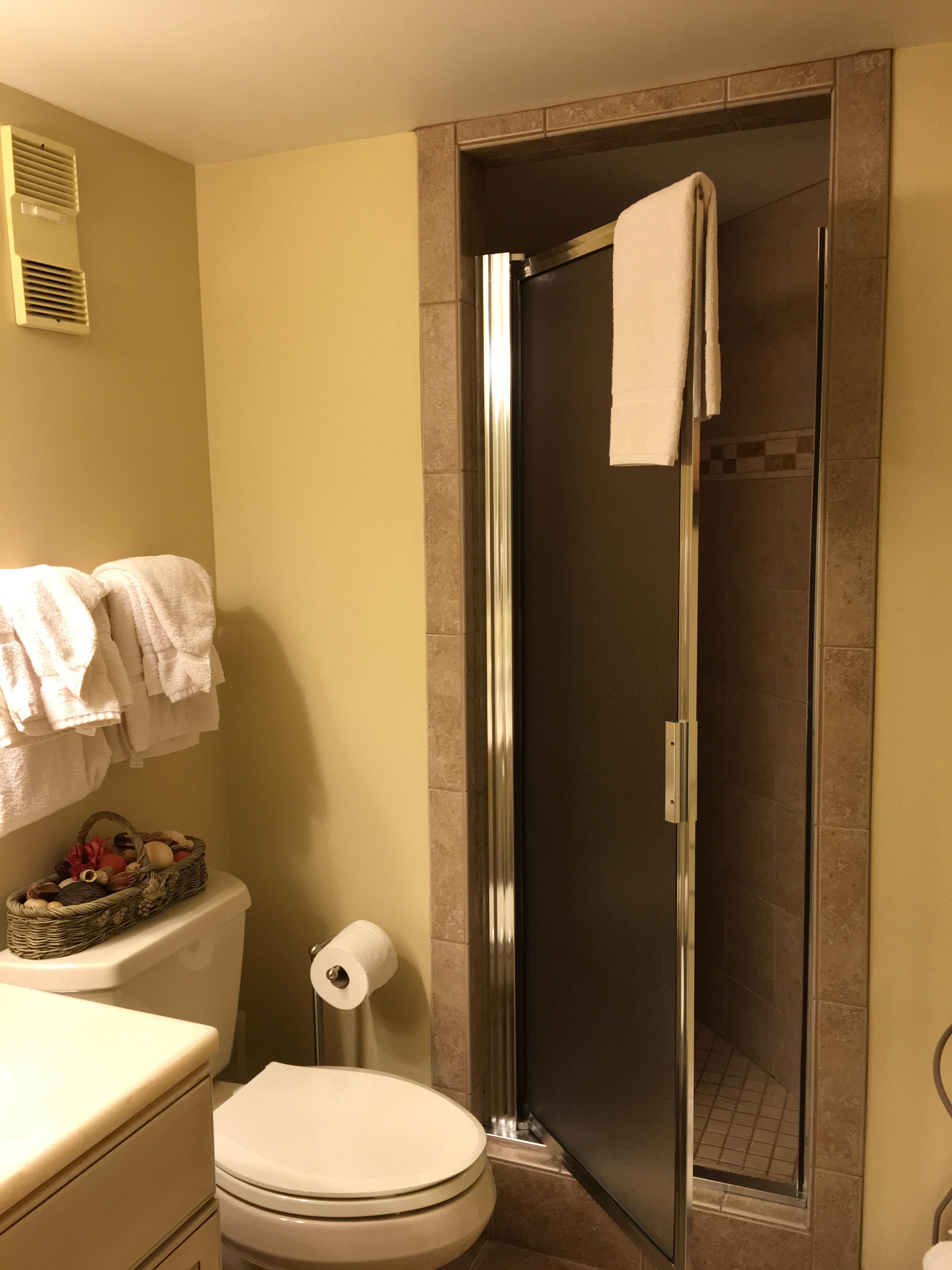 Guest Bath Walk In Shower