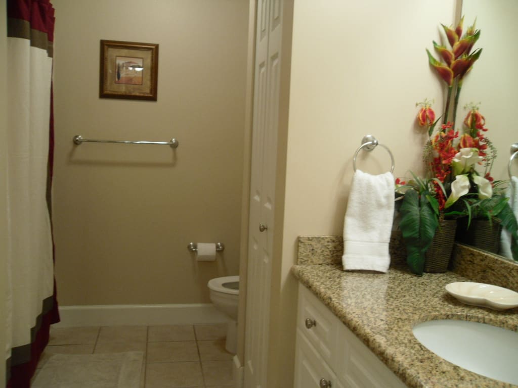 Master bathroom features a tub/shower combo and plenty of counter space