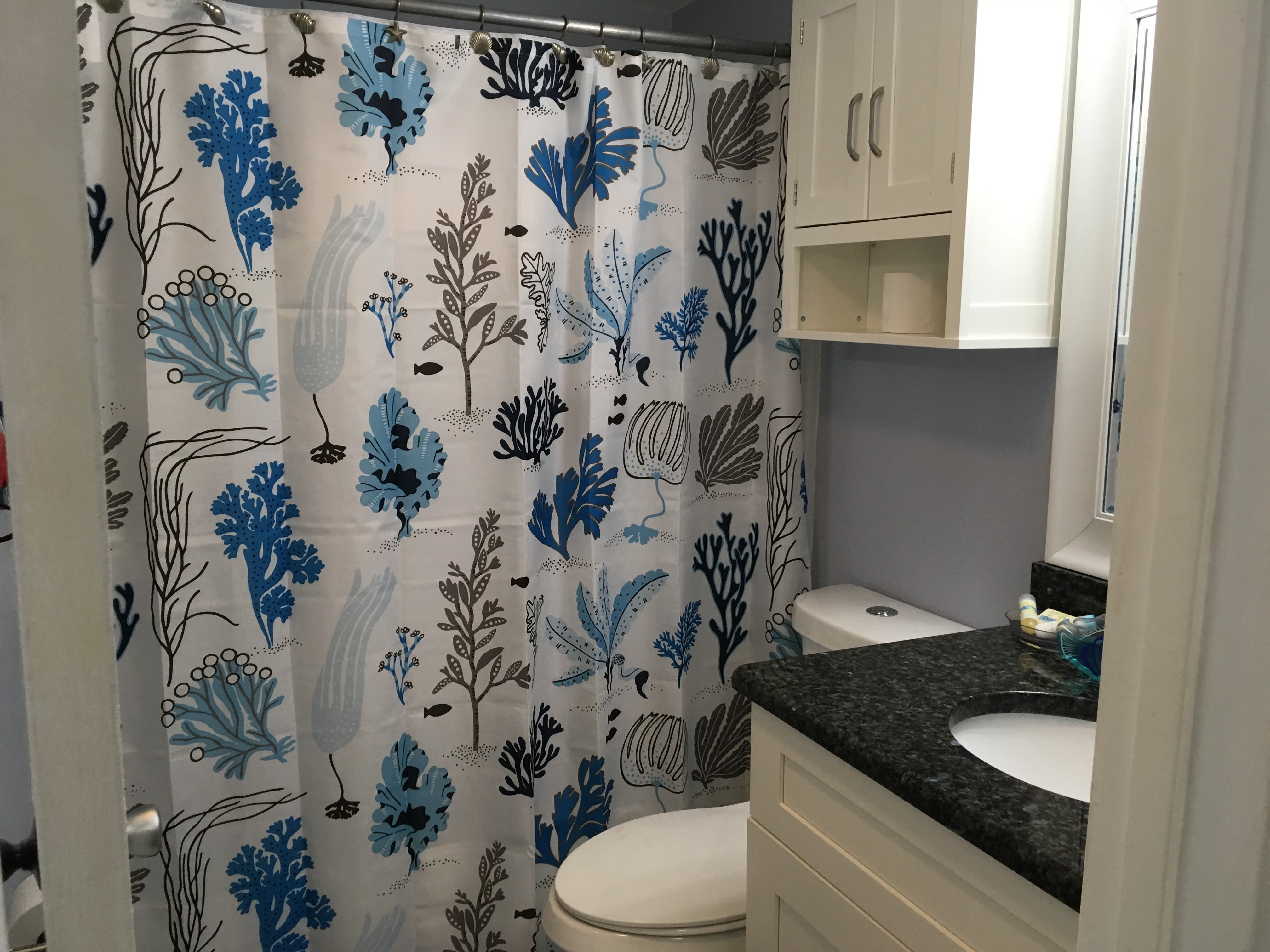 Bathroom with new granite, cabinet, all new fixtures