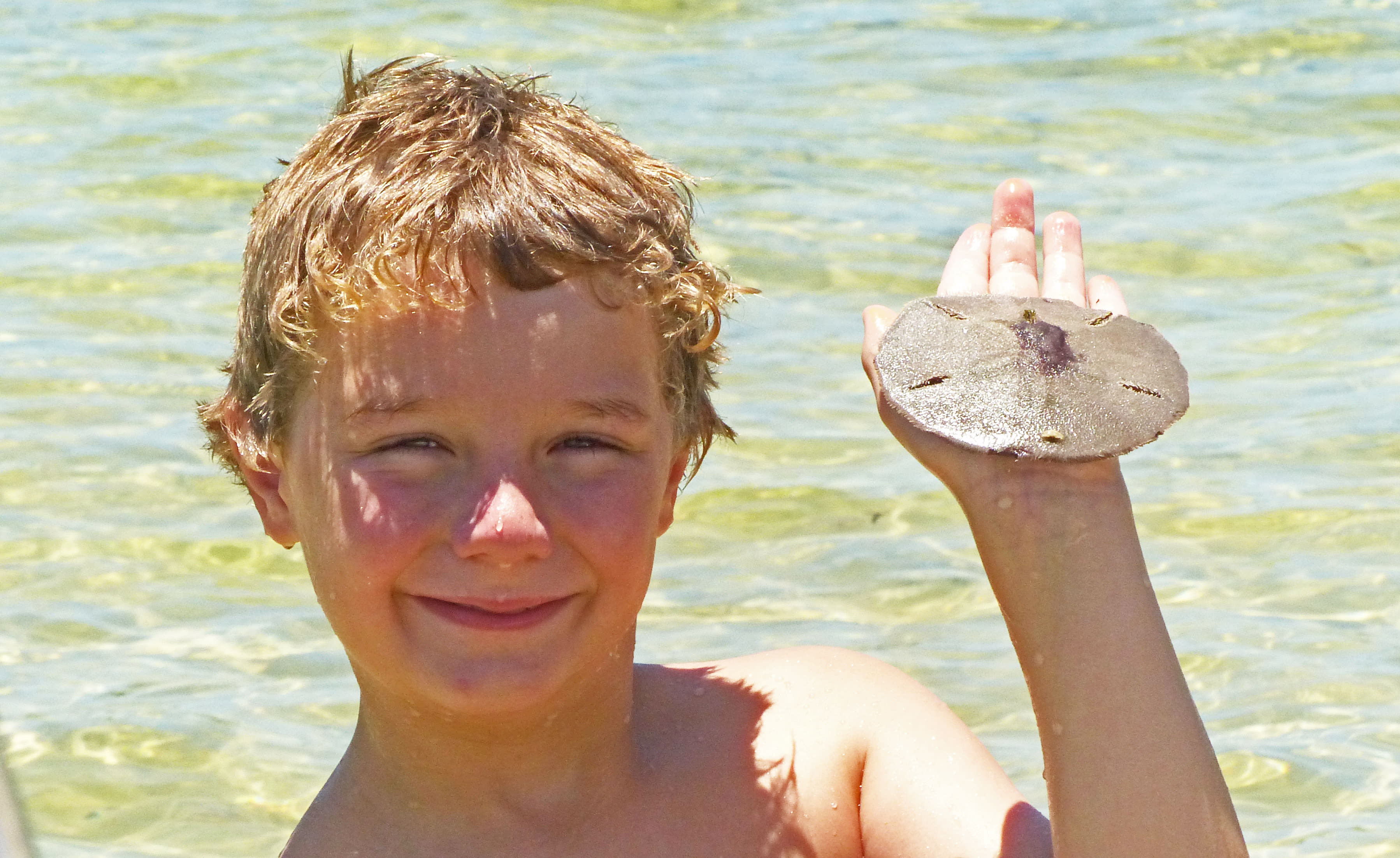 Lots of shells and scallops in the bay