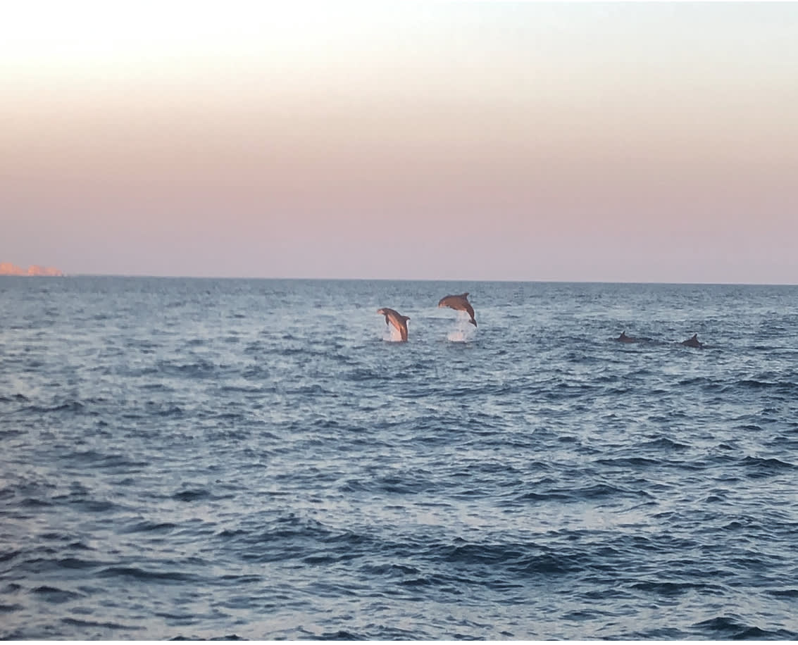 Photo Credit to guest! Taken off the balcony 