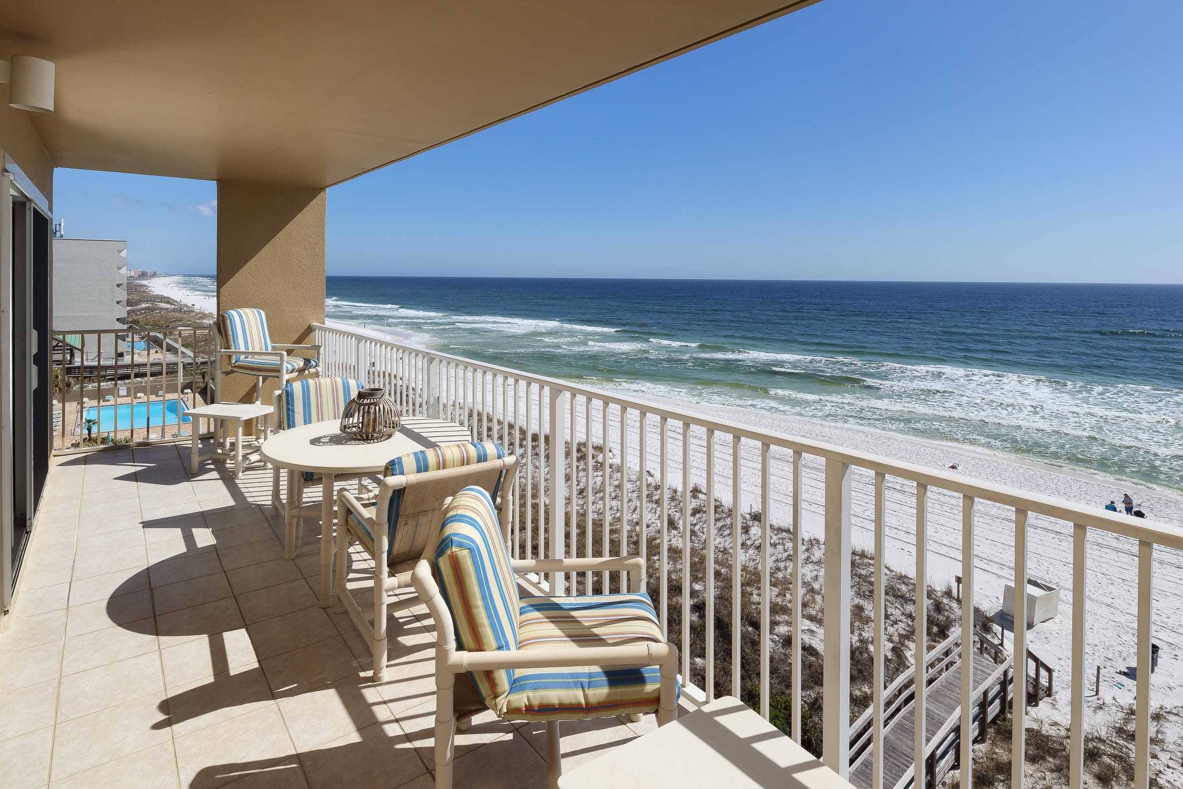 Perfect for Dolphin Watching