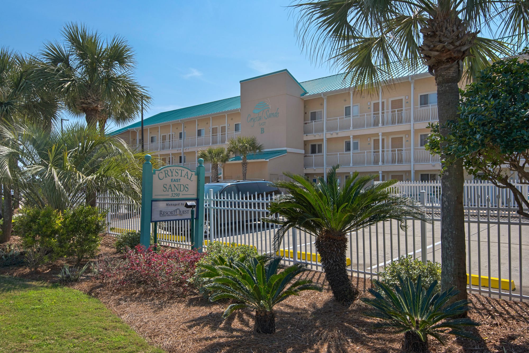 View from the front!