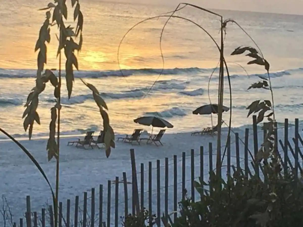 Shenanigans-14 Take our free golf carts to the off-the-beaten-path spots that many visitors never experience.