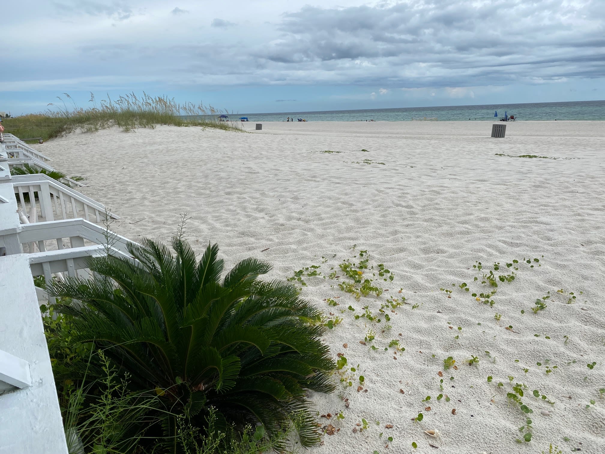 East View from Private Patio