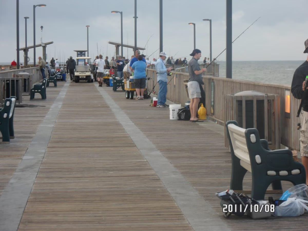 Walk to Gulf State park Pier for sight seeing or fishing.
