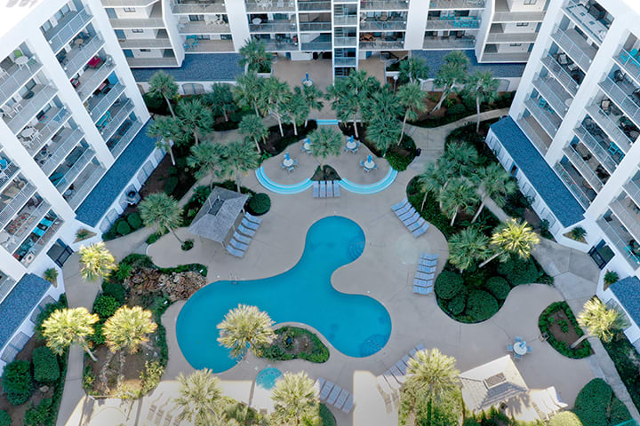 Swim under the palm trees in our resort-style pool