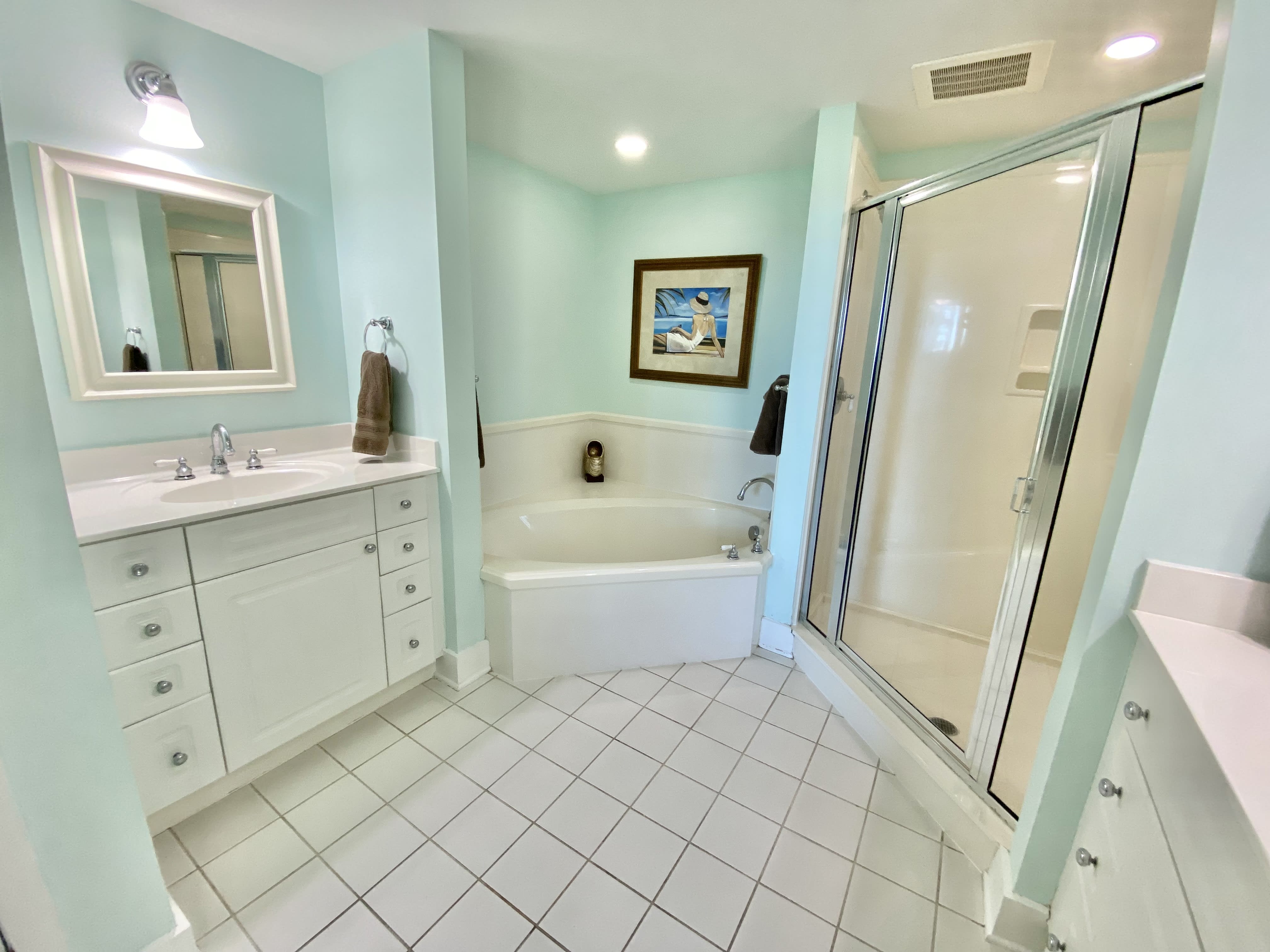 Mater bath with walk-in shower and garden tub.