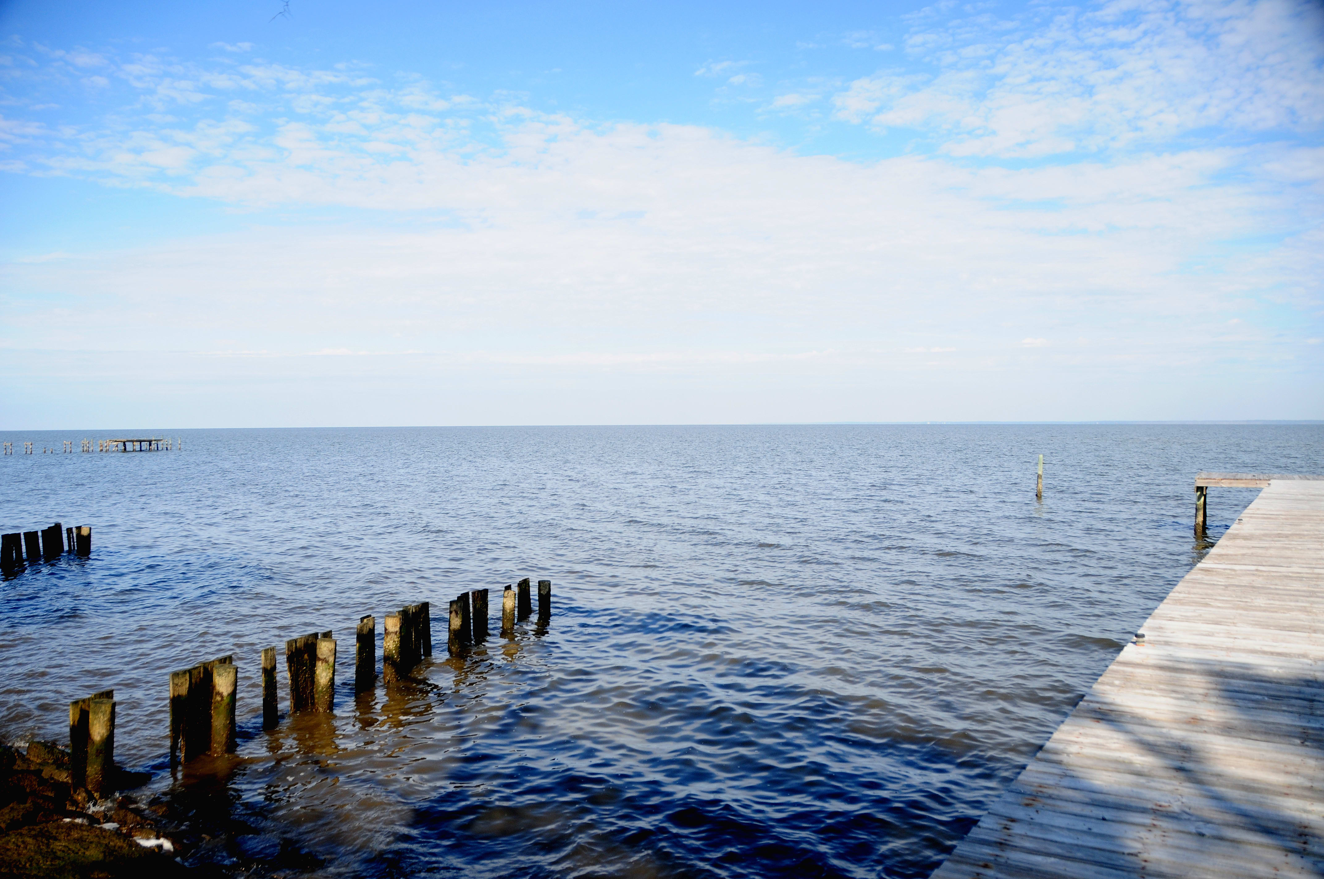 Gorgeous view of Mobile Bay